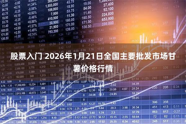 股票入门 2026年1月21日全国主要批发市场甘薯价格行情